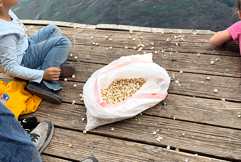 Boats, Boating, and Pure Joy at Lake Mead Marina
