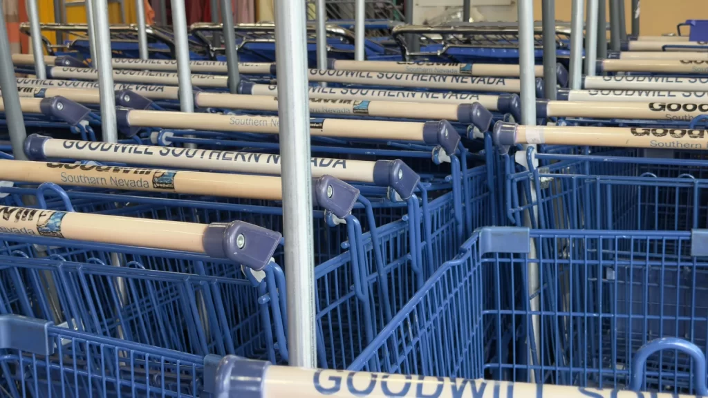 Goodwill shopping spree shopping carts before